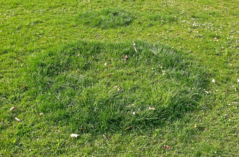 Ritrovamenti marted� 3 aprile.